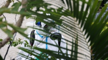 Dengue 435 nouveaux cas en une semaine, l'épidémie s'accélèr ... Image 1